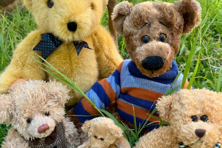 A conscious Christmas viewing of bears