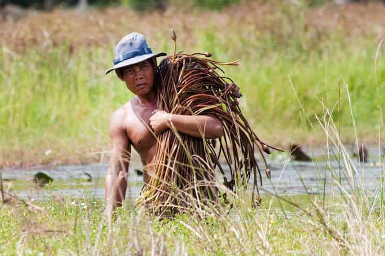 A farmer doing difficult manual labor
