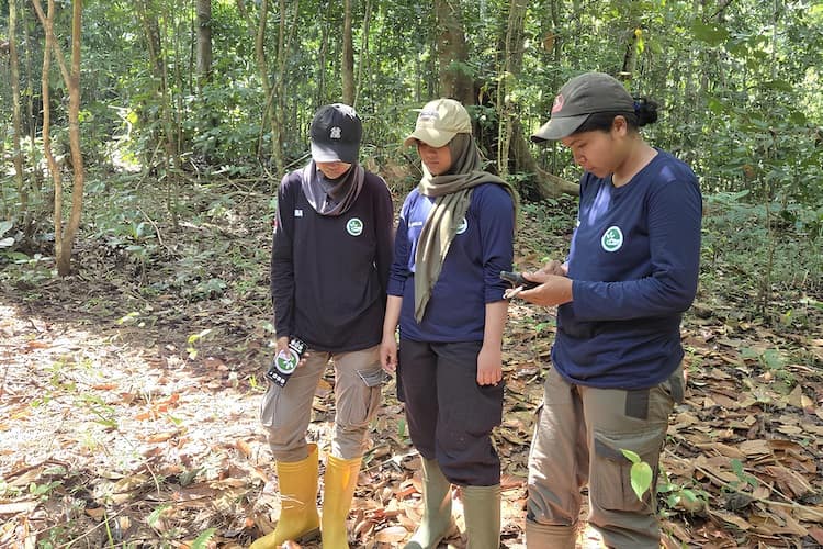 Wildlife Protection Unit (WPU) Forest Security ranger Dina, Suci Amalia and Wilda on patrol in the forests of Bukit Tigapuluh, Sumatra. Photo credit: The Orangutan Project.