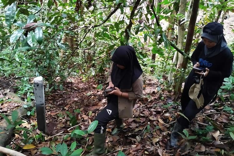 WPU rangers Suci Amalia and Dina on patrol in the forests of Bukit Tigapuluh, Sumatra. Photo credit: The Orangutan Project.