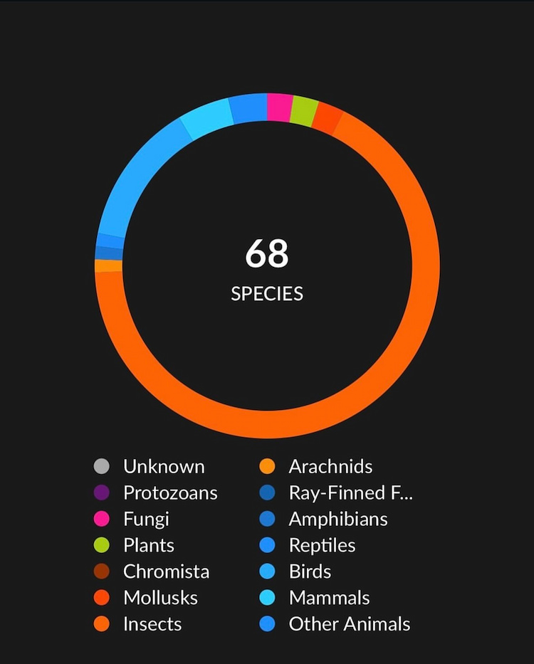Contributions towards species informational graph