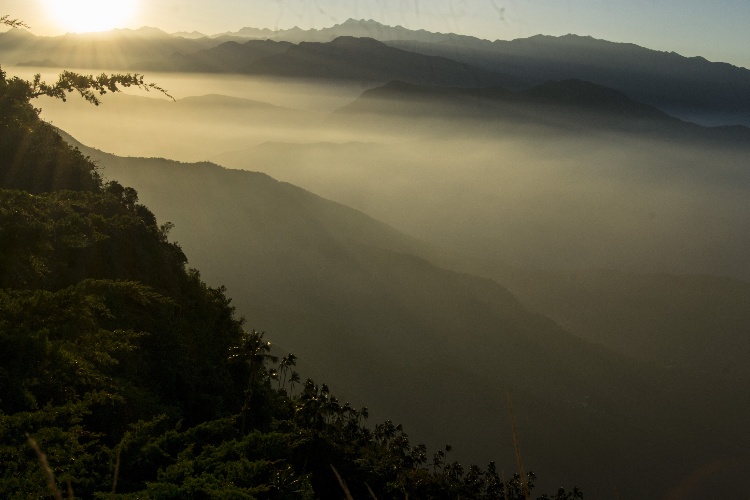 Dawn breaks over the mist-covered peaks of the Sierra Nevada de Santa Marta, a landscape where fog and forest intertwine.