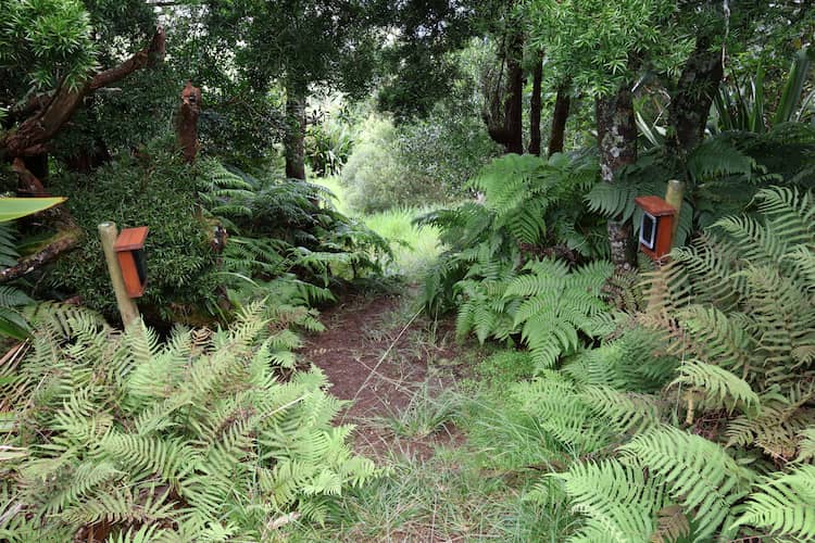 Conservationists on the island are making use of traffic counters as part of its management efforts.
