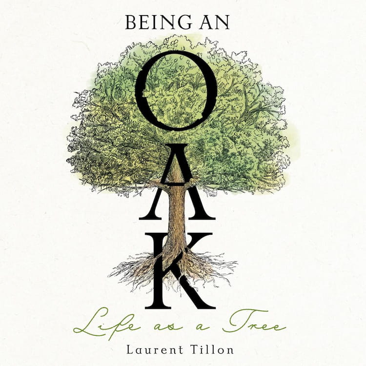 The cover of "Being an Oak: Life as a Tree".