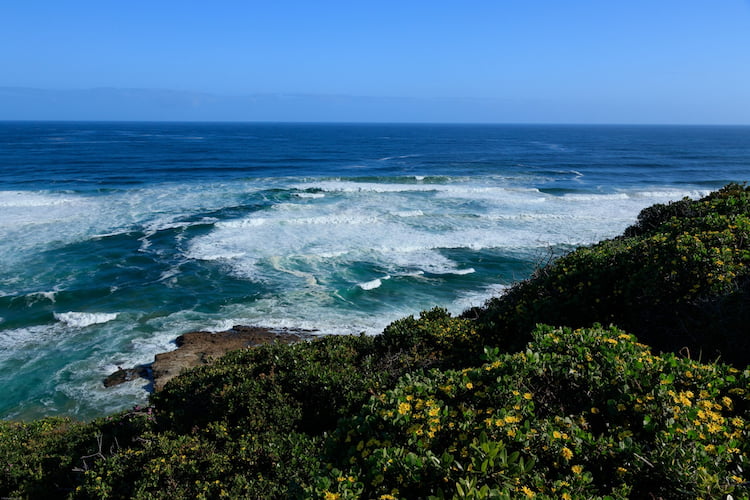 The view of the beautiful ocean.