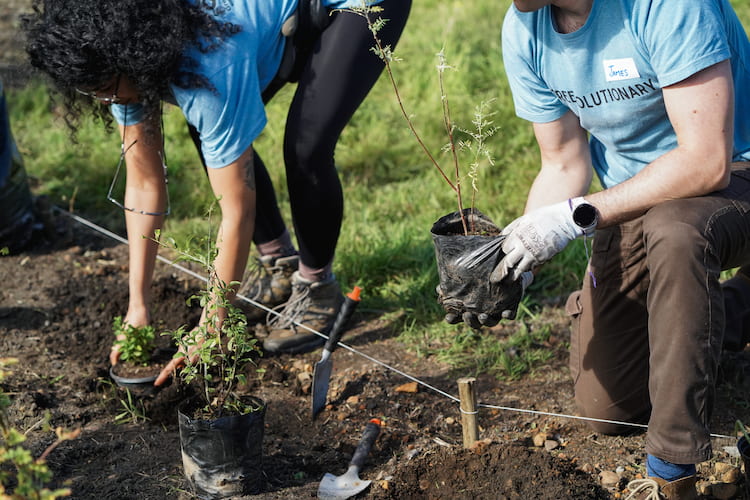 Two volunteers working together to make a difference