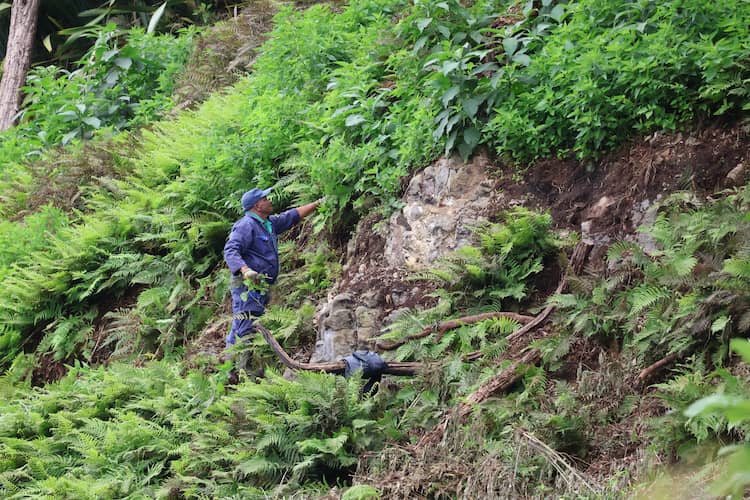 Restoring natural areas on the island’s steepest slopes is being undertaken by dedicated teams, many who’ve been at the task for 20 years.