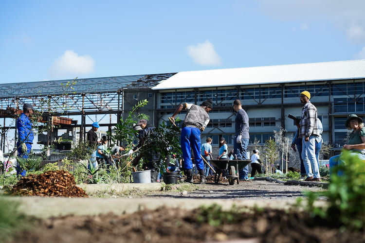 Multiple individuals hard at work to ensure that Philippi village is well looked after