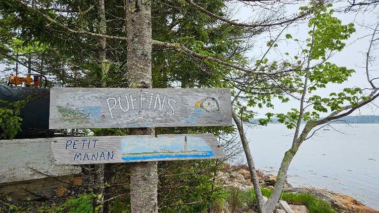 Entrance to the dock to see puffins on Petit Manan Island, Steuben