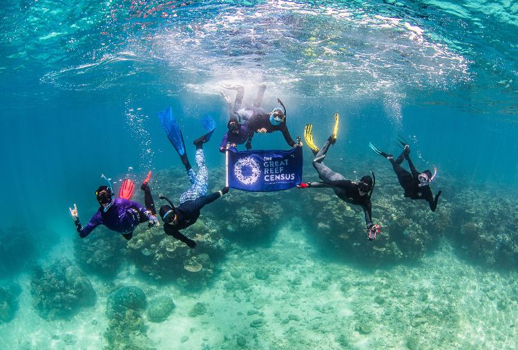 Great Reef Census in-water phase - © Citizens of the Reef